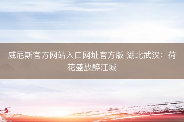 威尼斯官方网站入口网址官方版 湖北武汉:荷花盛放醉江城