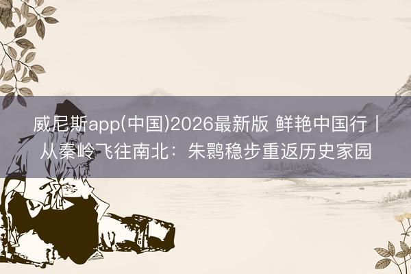 威尼斯app(中国)2026最新版 鲜艳中国行丨从秦岭飞往南北：朱鹮稳步重返历史家园