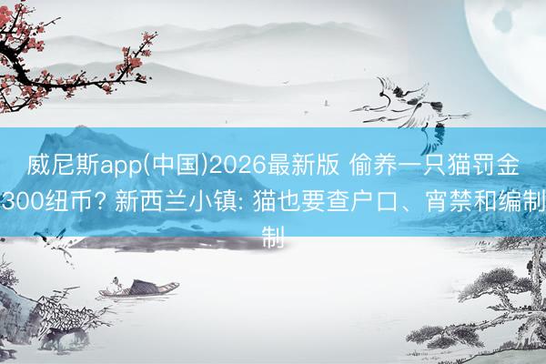 威尼斯app(中国)2026最新版 偷养一只猫罚金300纽币? 新西兰小镇: 猫也要查户口、宵禁和编制