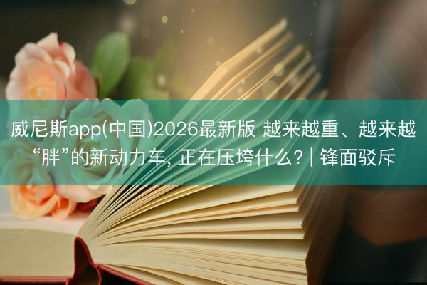 威尼斯app(中国)2026最新版 越来越重、越来越“胖”的新动力车， 正在压垮什么? | 锋面驳斥