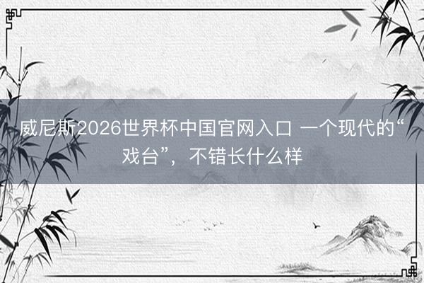 威尼斯2026世界杯中国官网入口 一个现代的“戏台”，不错长什么样